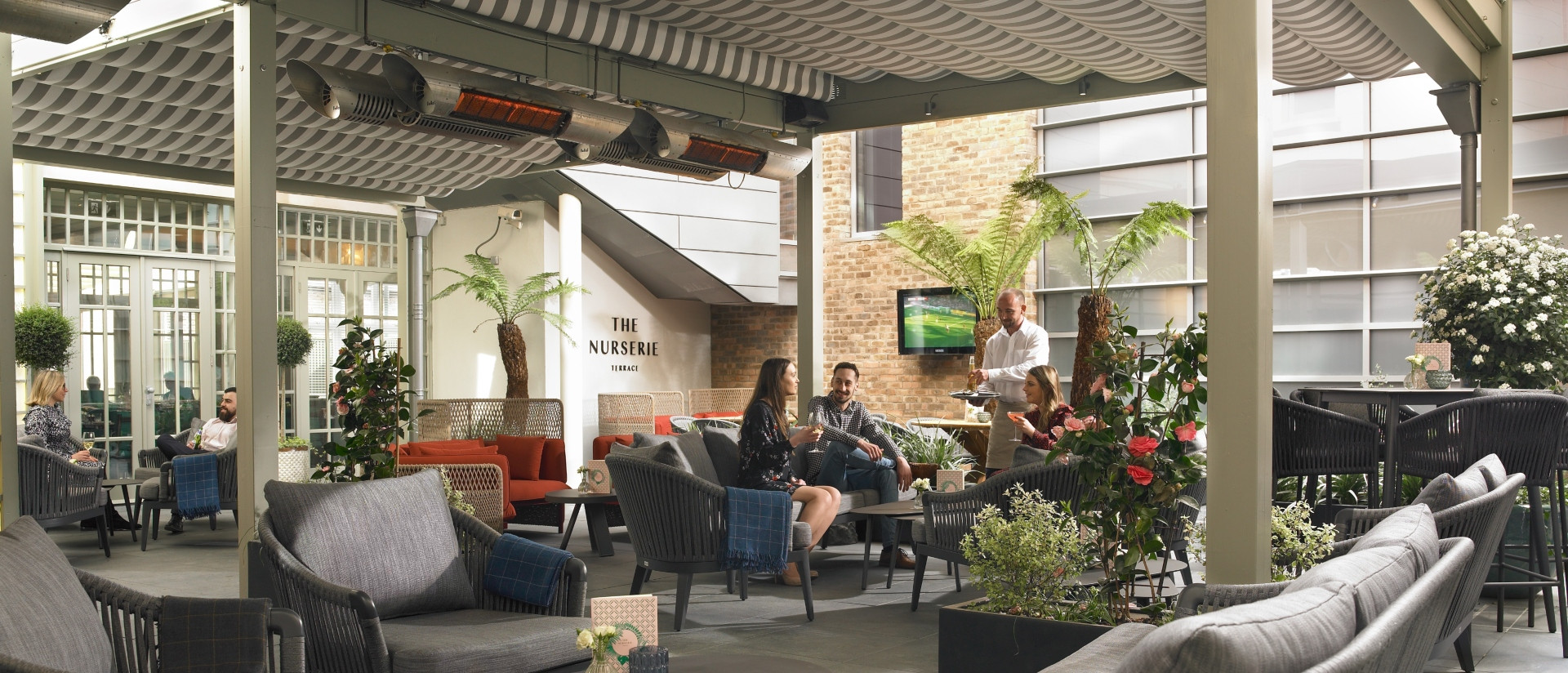The nurserie terrace   banner www.bvcxzasdwe.live_v3
